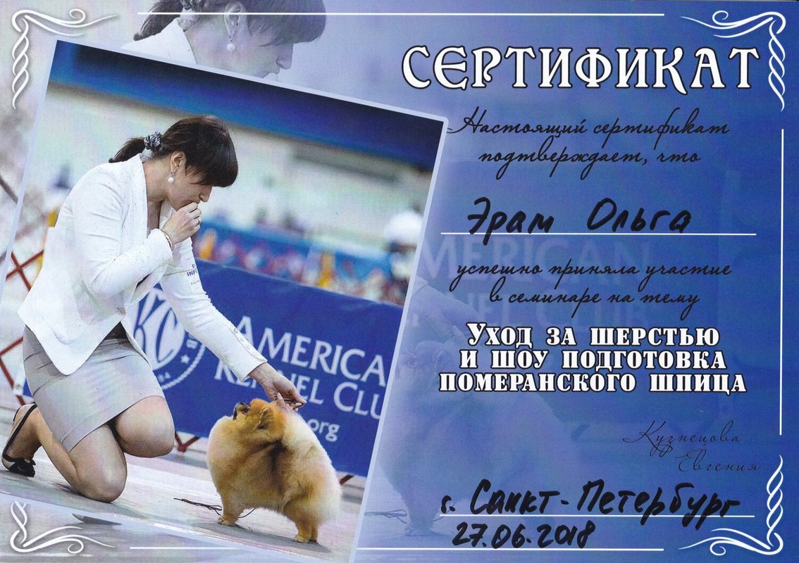 Документ или сертификат