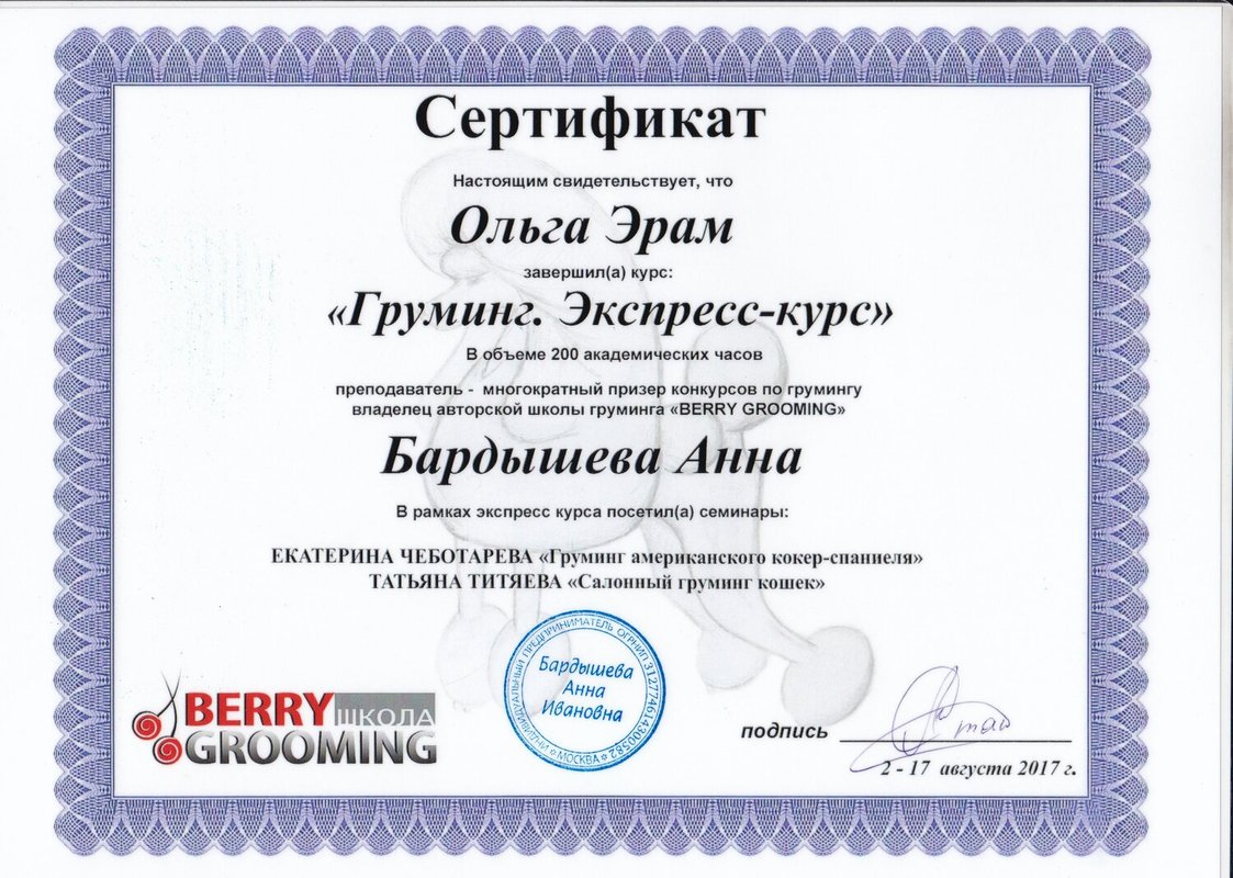 Документ или сертификат