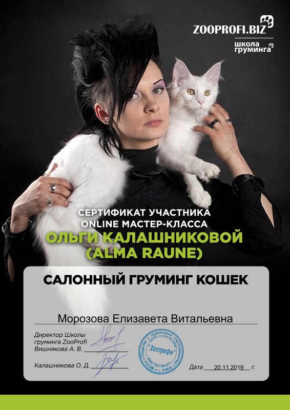 Документ или сертификат