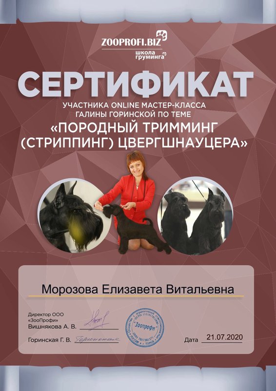 Документ или сертификат