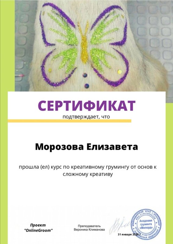 Документ или сертификат