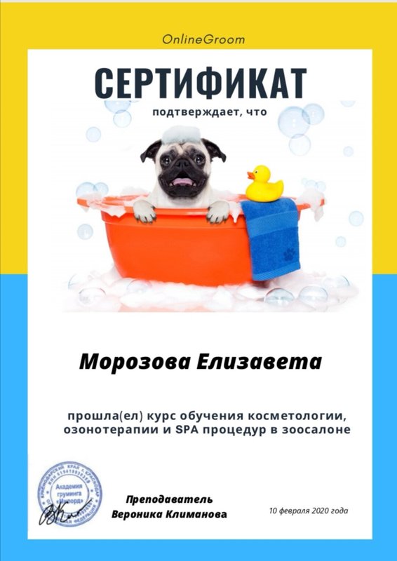 Документ или сертификат