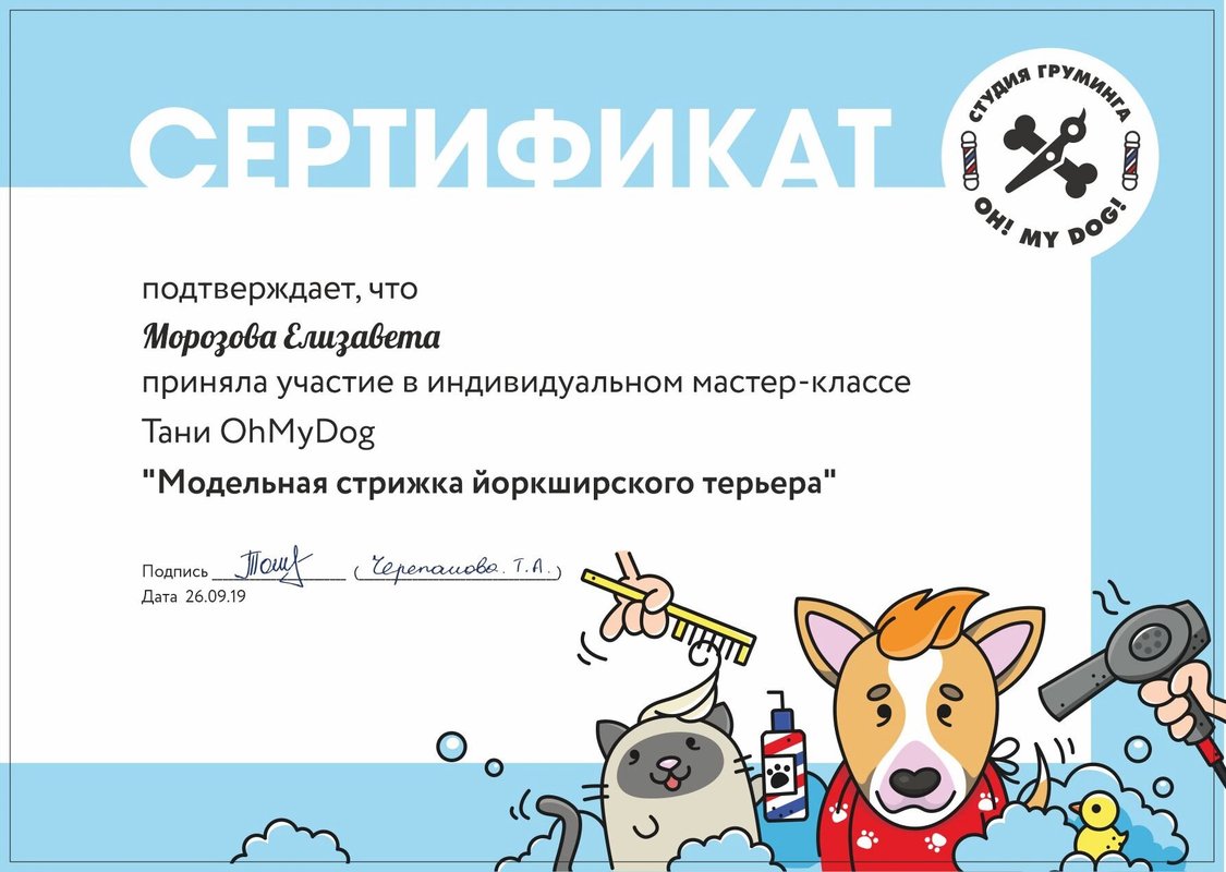 Документ или сертификат
