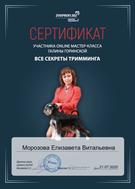 Документ или сертификат
