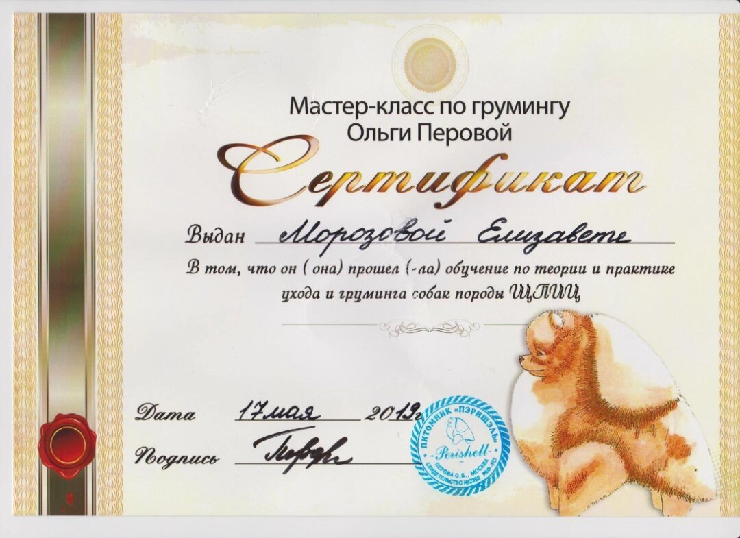 Документ или сертификат