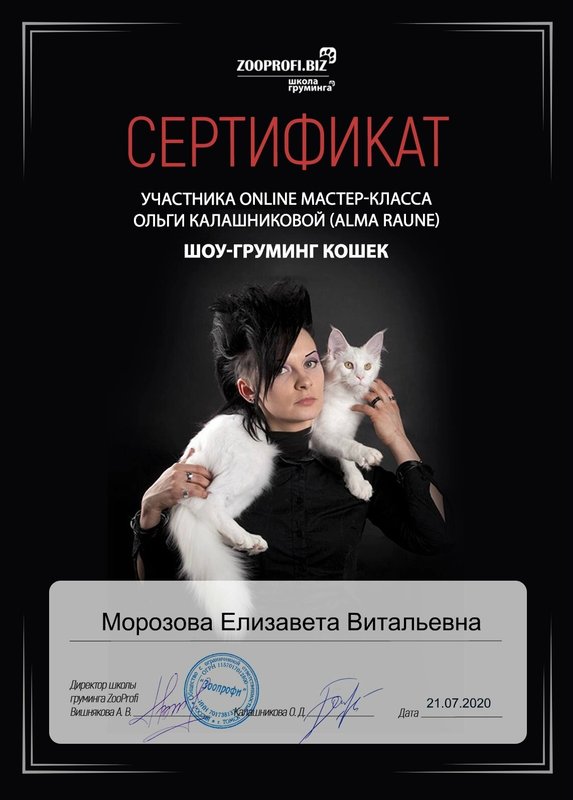Документ или сертификат