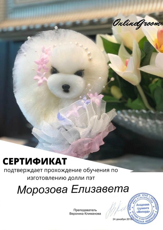 Документ или сертификат