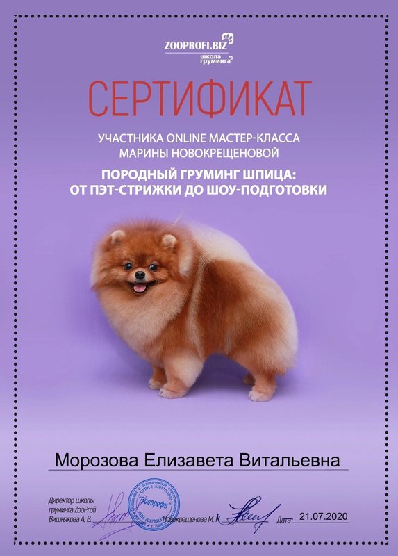 Документ или сертификат