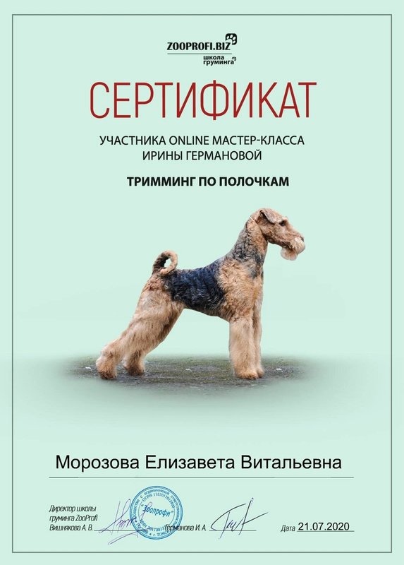 Документ или сертификат