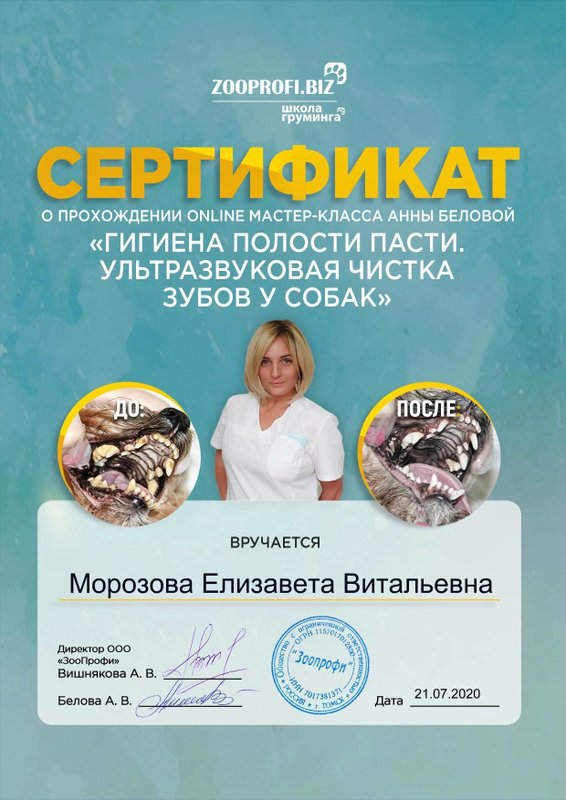 Документ или сертификат