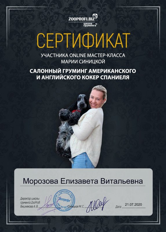 Документ или сертификат