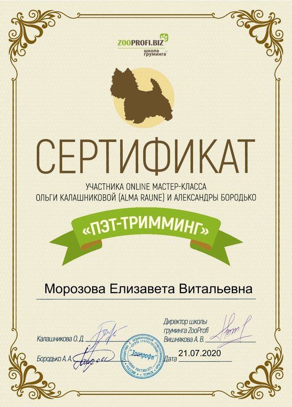 Документ или сертификат