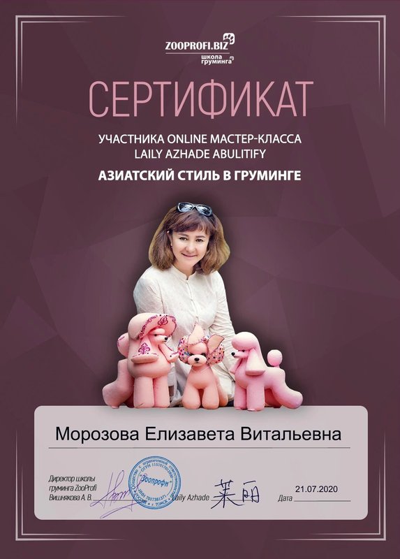 Документ или сертификат