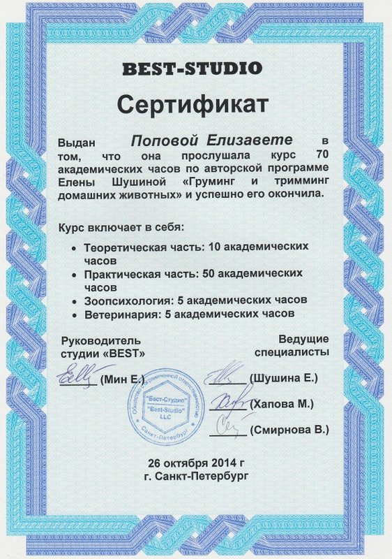 Документ или сертификат