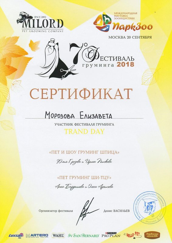 Документ или сертификат