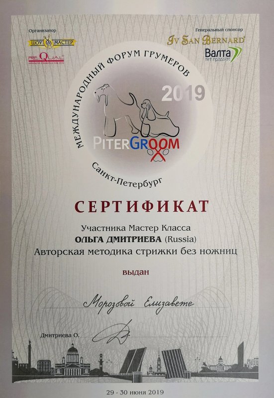Документ или сертификат