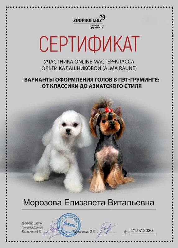Документ или сертификат