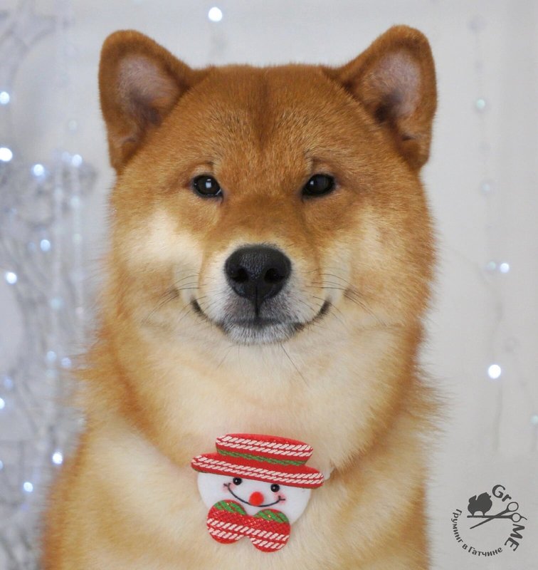 Фото врача