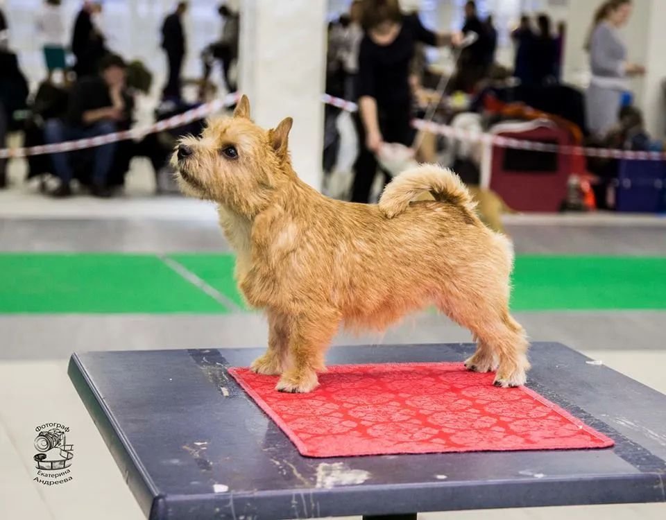 Фото врача
