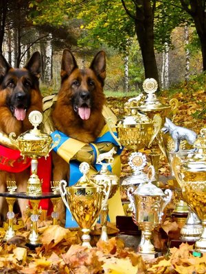 Фото врача Стратий Юлия Геннадьевна