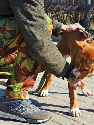 Фото врача Хаймин Валерий Сергеевич