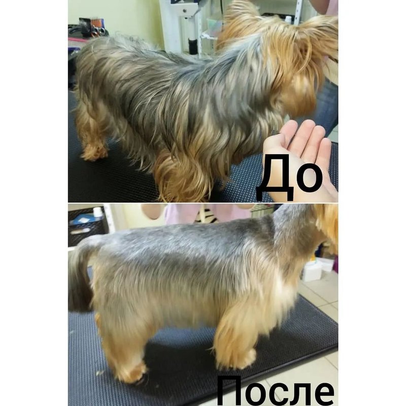 Фото врача