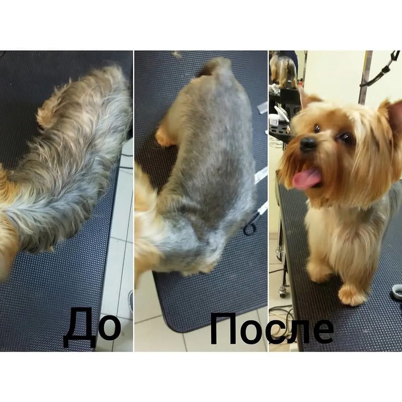 Фото врача