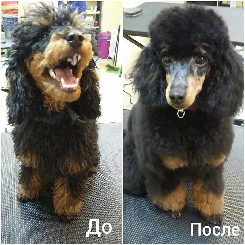 Фото врача