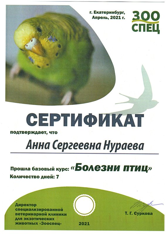 Документ или сертификат
