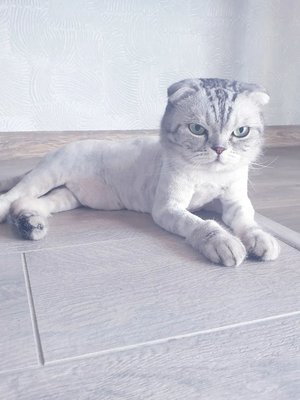 Фото врача Никитченко Кристина Ратиборовна