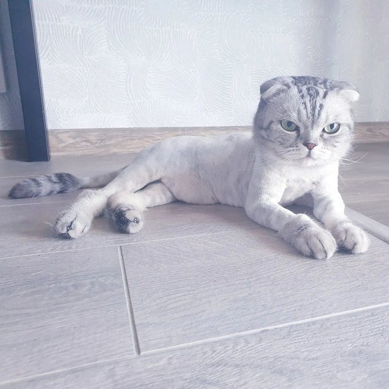 Фото врача