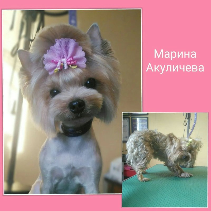Фото врача