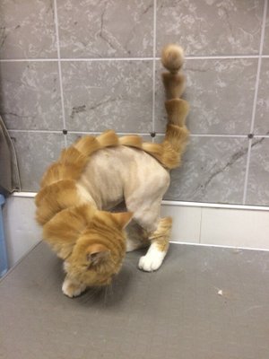 Фото врача Иванова Мария Александровна