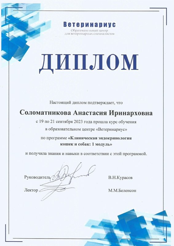 Документ или сертификат