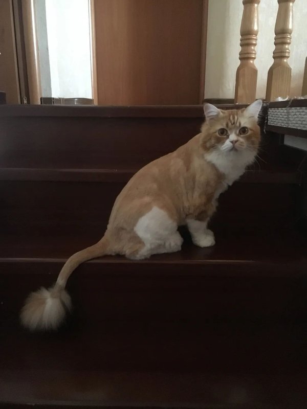 Фото врача