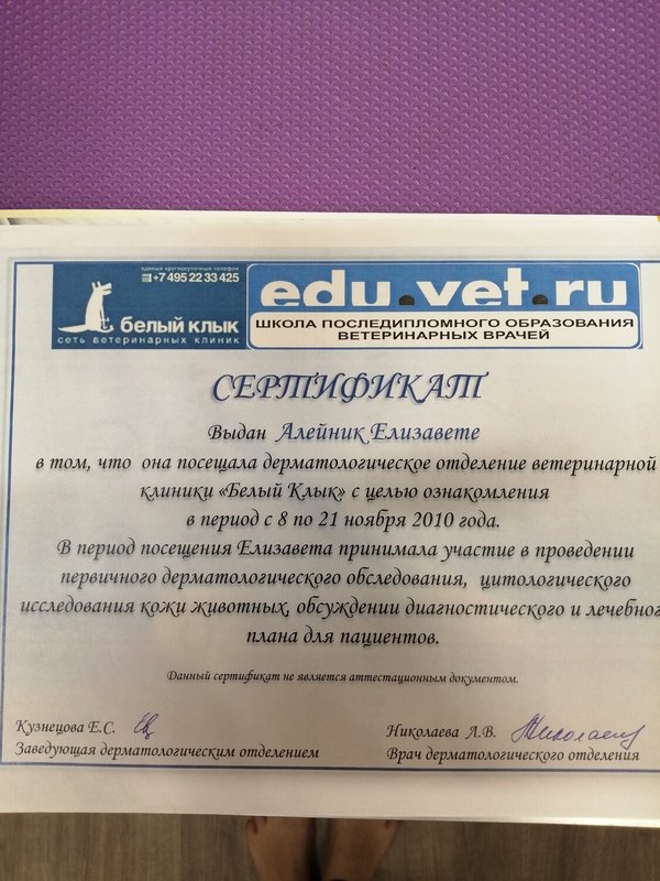 Документ или сертификат