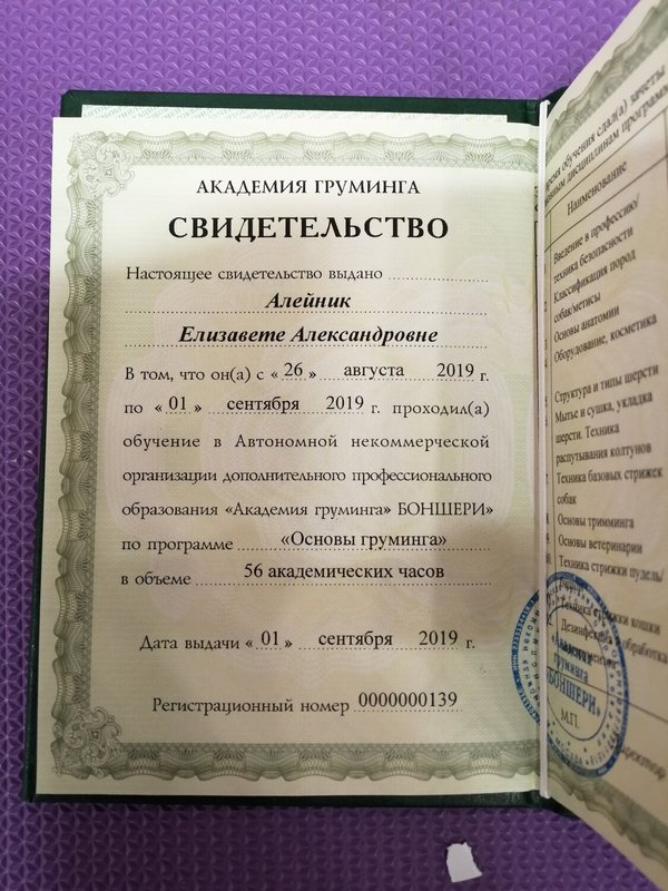 Документ или сертификат