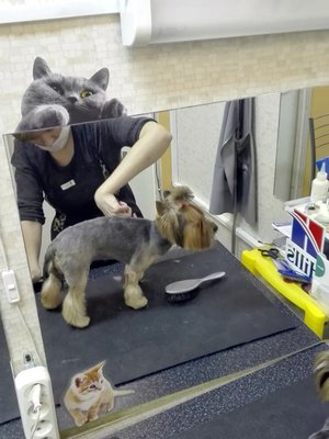 Фото врача Фиберг Мария Валерьевна