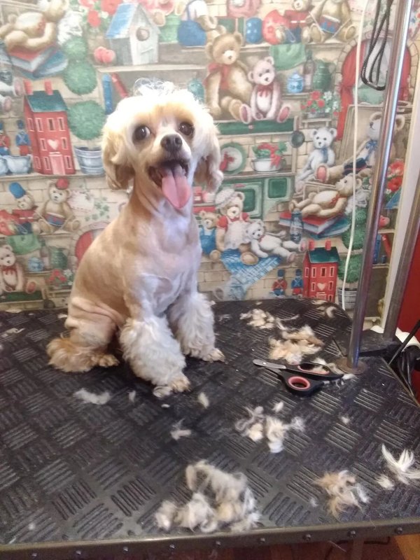 Фото врача