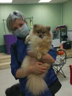 Фото врача Ложечникова Наталья Леонидовна