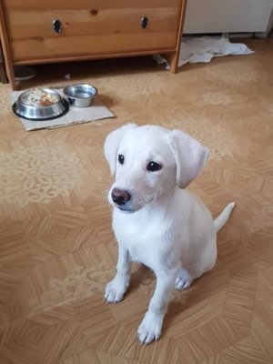 Фото врача Сотарева Наталья Андреевна