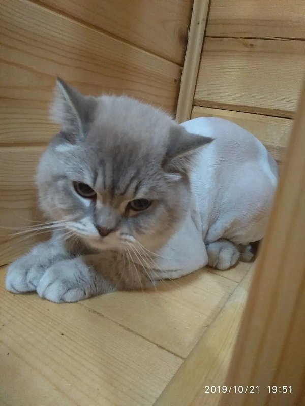 Фото врача