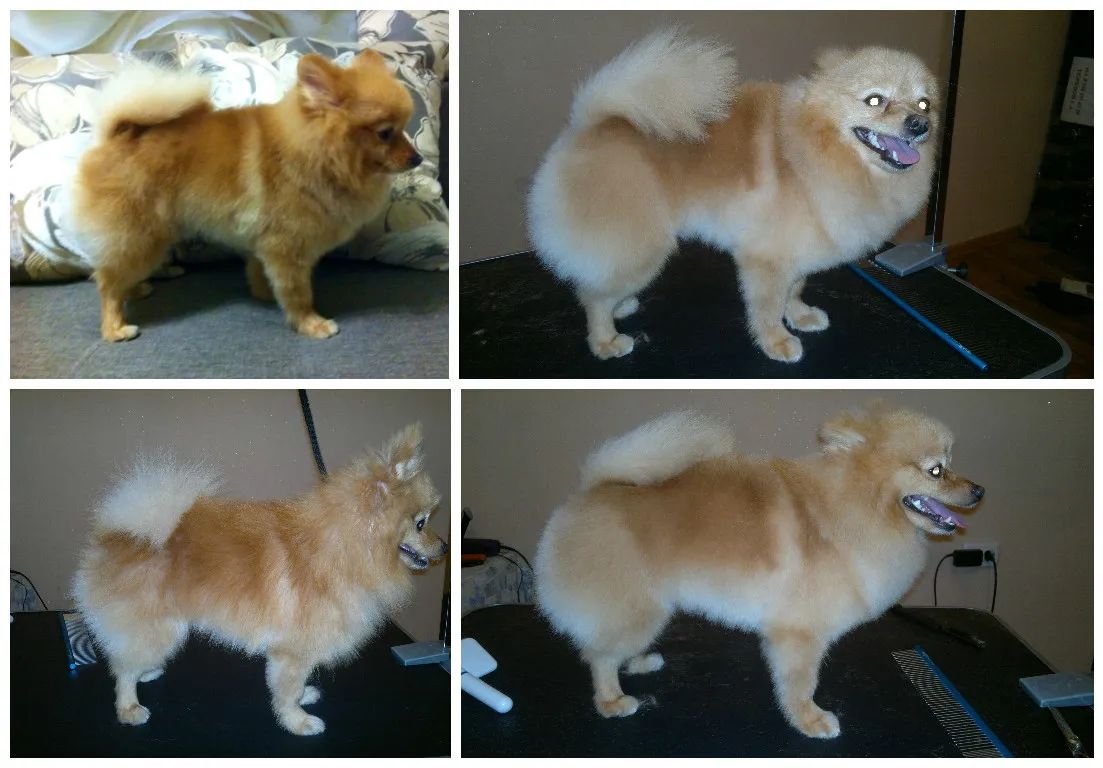 Фото врача