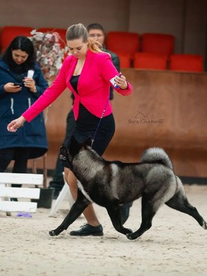 Фото «Щипанова Татьяна Витальевна»