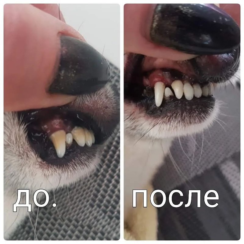 Фото врача