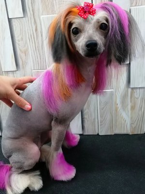 Фото врача Маринина Марина Николаевна