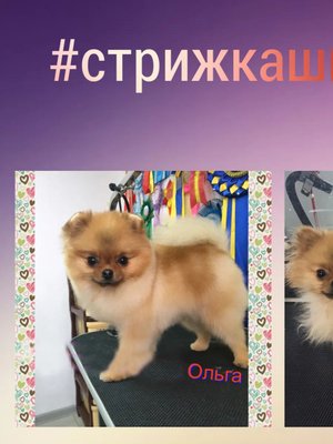 Фото «Кудинова Ольга Васильевна»
