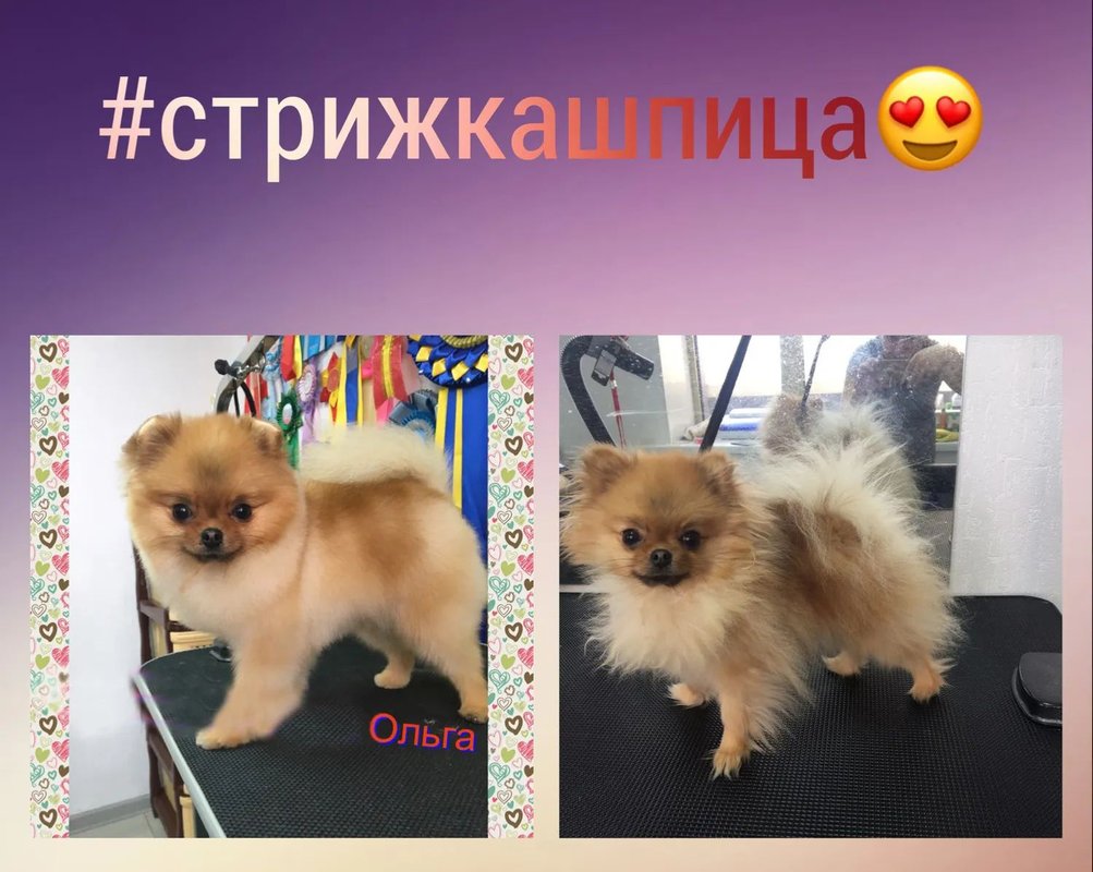 Фото врача