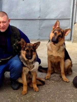 Фото врача Павлович Игорь Петрович