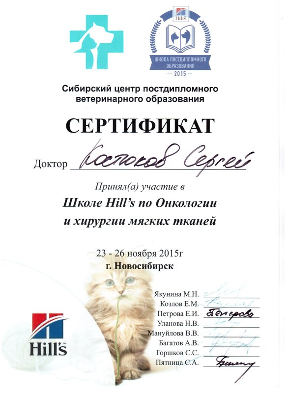 Документ или сертификат